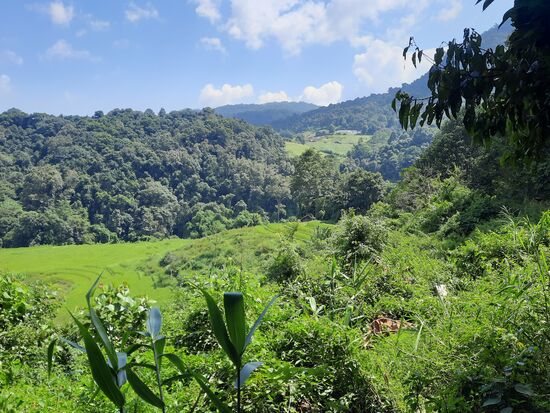 Dazwischen wunderbare Ausblicke in Bergtäler.