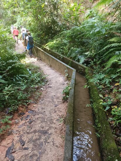 Dann mal eine Levada a la Madeira.