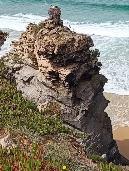 Dieser Storch nistet nicht nur...er residiert, man beachte seinen nochmals reichlich hohen Thron.