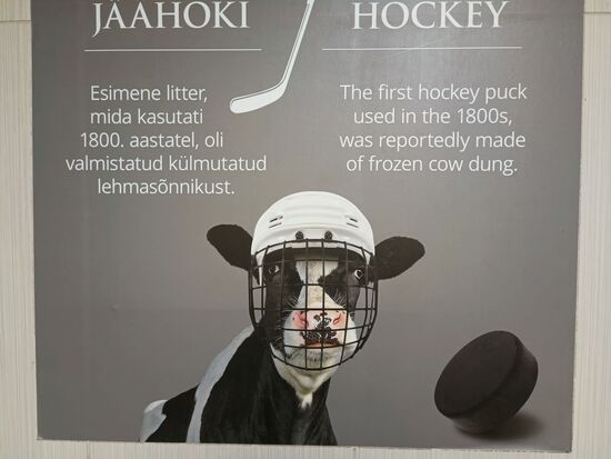 Und die Sportarten erst...erst bei näherem Hinsehen erschloss sich der Bildungsauftrag.