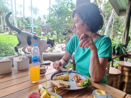 Unser tierische Begleitung zum Frühstück...mögen wir eigentlich, aber diese ist eine Nerv-Katze, die pausenlos ihre Möchtegern-Ansprüche geltend macht.