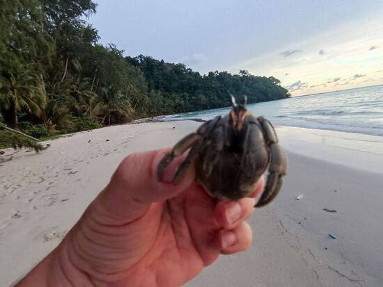 Immer wieder erstaunlich, wieviel Krabbe in so ein kleines Haus passt.