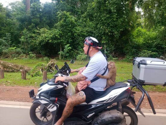 Ein cooles Biker-Pärchen...was hier nicht zu sehen ist, der Affe knuspert nebenbei noch eine Möhre.