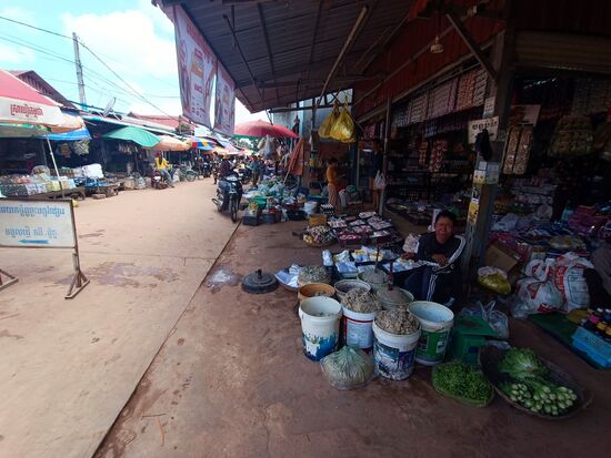 Der Inhalt der Eimer, der stank wirklich zum Himmel...und ja, das ist etwas zu essen. Unser Tuktukfahrer hat uns dann erklärt, dass dies Käse auf der Grundlage von Fisch ist...und Bestandteil vieler Soßen und Suppen...also wenn die Typen von RTL wieder etwas für den Dschungel brauchen...das hier hat Potential.