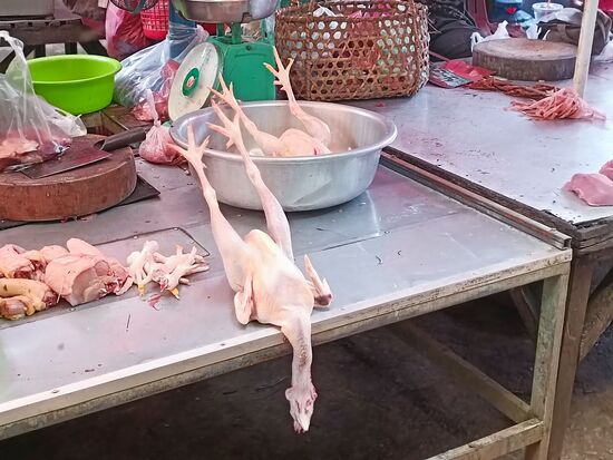 Die Körperhaltung kann nicht gesund sein...