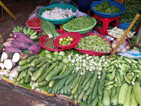 Natürlich auch Obst und Gemüse - Bambusspitzen, Bananenblüten und auch viele Sorten Pilze.