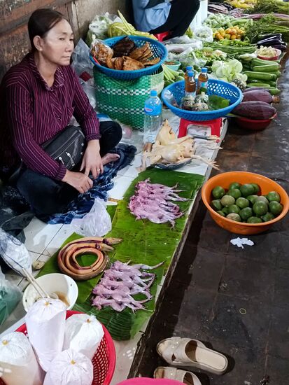 Bei den Fleischwaren wurde es dann exotischer- man beachte die Schlangen und darunter, das sind Frösche.