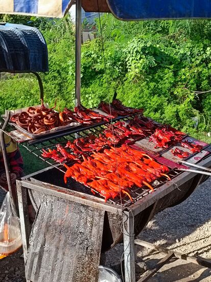 unterwegs wieder mal eine Delikatesse. Auch hier gibt es Alternativen...entweder Schlange oder gegrillte Ratte...der Schwanz ist zur Deko noch dran...nein, wir haben nicht probiert.