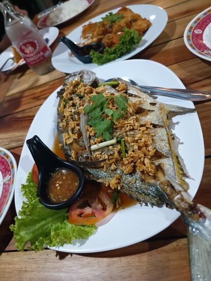 So sieht ein außerordentlich lecker zubereiteter Fisch aus, Raphael blieb beim Huhn. Für die Großen gab´s dazu ein Chang, für Raphael ein Singha ... ein Wasser von Singha.