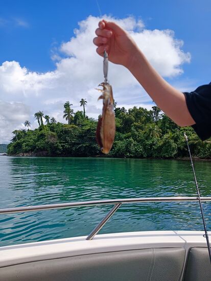 Unser Guide machte es uns vor  und hat 3 kleine Kalmare gefangen...wir hätten sie eher wieder ins Meer entlassen.