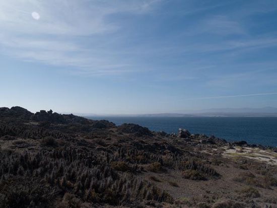 Isla Damas