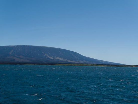 Insel Fernandina