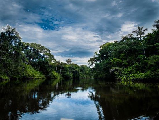 Cuyabeno Nationalpark