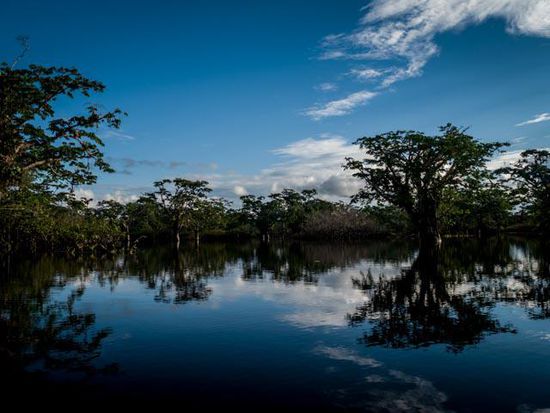 Cuyabeno Nationalpark