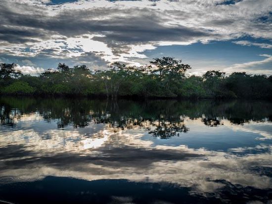 Cuyabeno Nationalpark