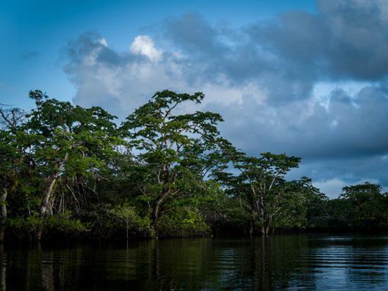 Cuyabeno Nationalpark