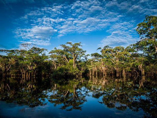 Cuyabeno Nationalpark