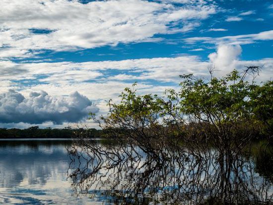 Cuyabeno Nationalpark