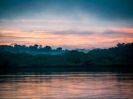 Cuyabeno Nationalpark
