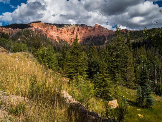 Unterwegs Richtung Red Canyon