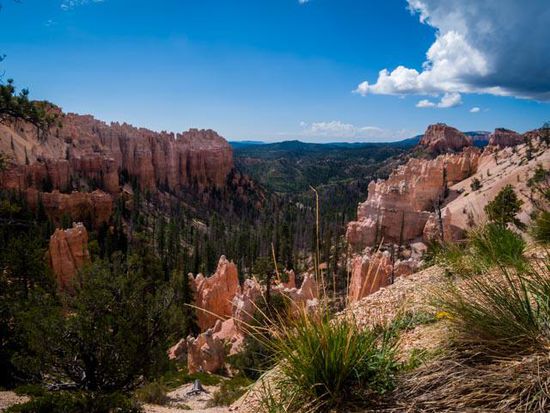 Bryce Canyon