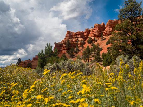 Bryce Canyon