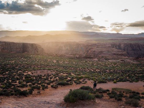 Horseshoe Bend, Page
