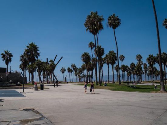 Venice Beach
