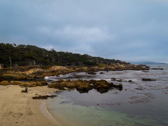 17- Mile Drive