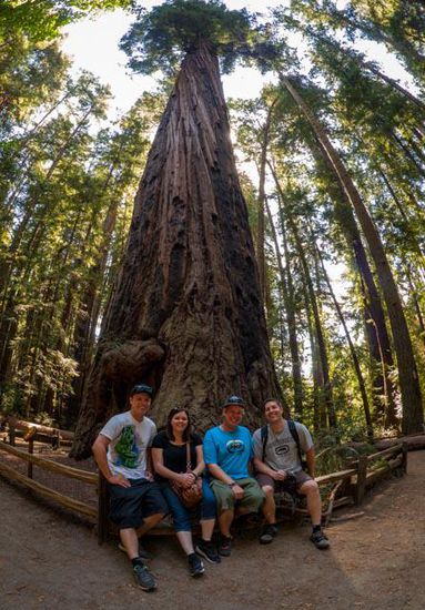 Redwoods State Park