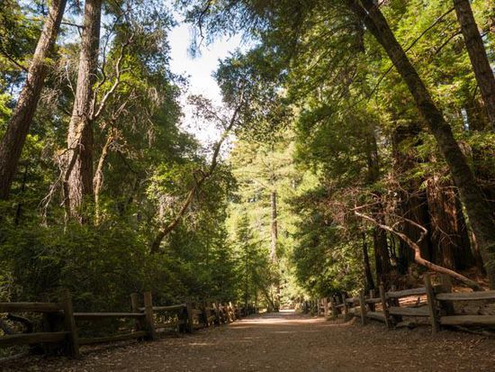 Redwoods State Park