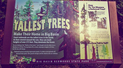 Redwoods State Park