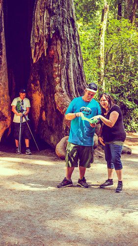Big Basin Redwoods State Park