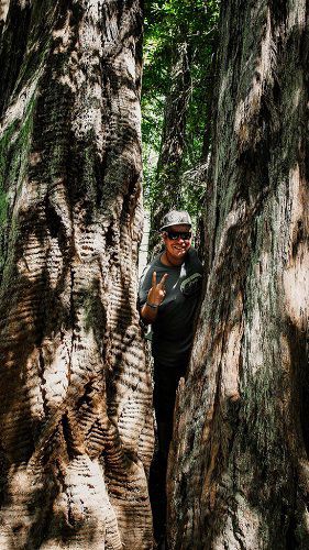 Big Basin Redwoods State Park