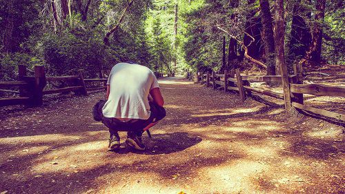 Unser Fotograf Remo bei der Arbeit, Big Basin Redwoods State Park