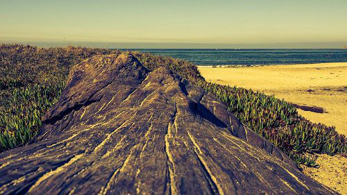 Half Moon Bay