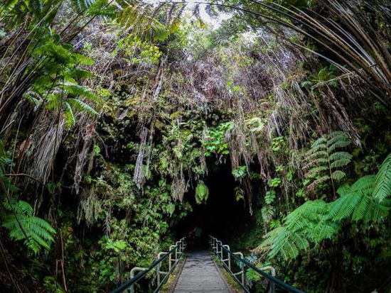 Eingang zur Lavatube im Volcano National Park