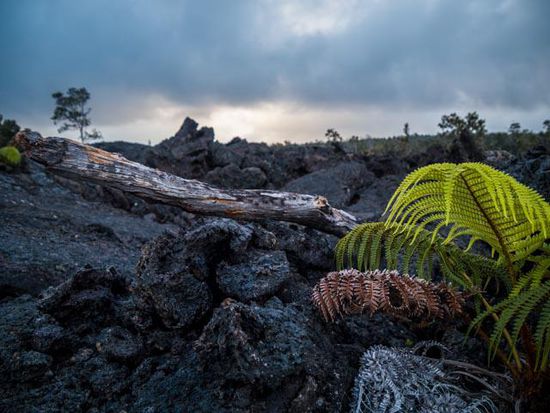 Lavastrom Volcano National Park