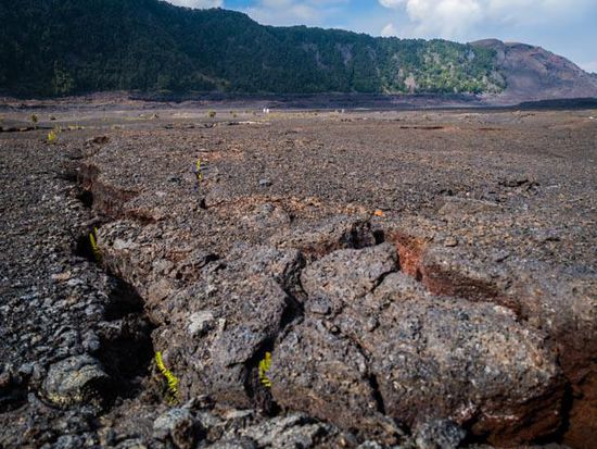 Wanderung zu einem erloschenen Krater des Kilauea Vulkans