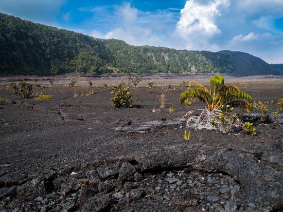 Wanderung zu einem erloschenen Krater des Kilauea Vulkans