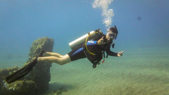 Tauchen auf Maui