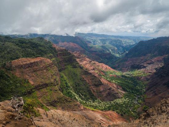 Waipio Valley