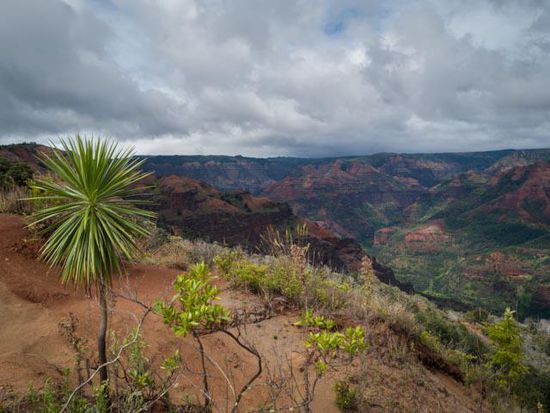 Waipio Valley