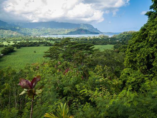 Hanalei Bay