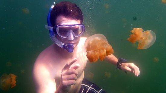 Jellyfish Lake