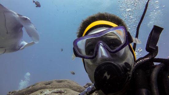 Mantaselfie - German Channel