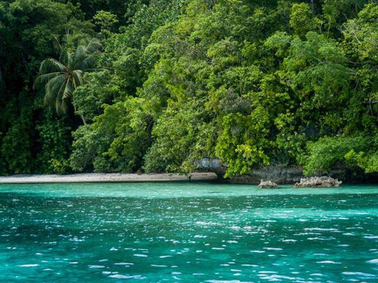 Insel Palau