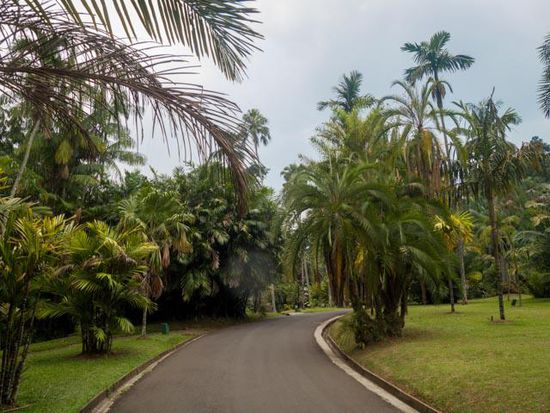 Botanischer Garten Bogor