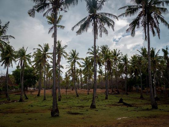 Der unbebaute Teil von Gili Air