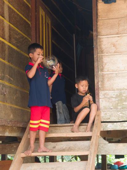 Beerdigung, Toraja